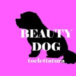 Beauty Dog Toelettatura
