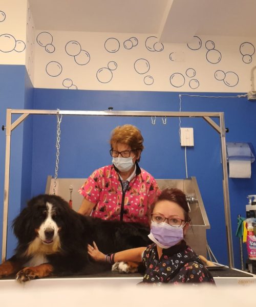 469108046_914842107462873_750996790520125443_n