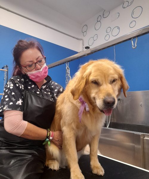 471201172_926794942934256_3237873850069128772_n