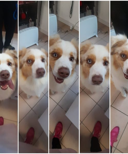 471326922_930108475936236_5166510330267644473_n