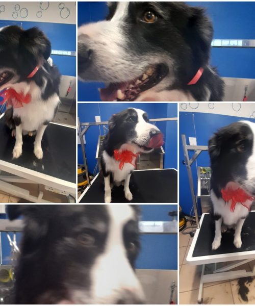 471382680_930081962605554_6896990232884844327_n