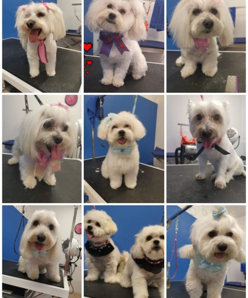 472670792_939161888364228_6898736353103476719_n