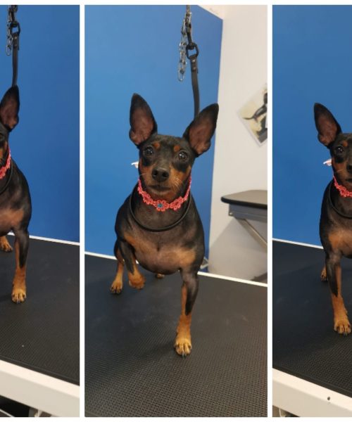 480301443_966679912279092_8922964263085989738_n