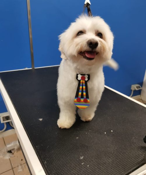 480329090_966677092279374_4902002239623450266_n