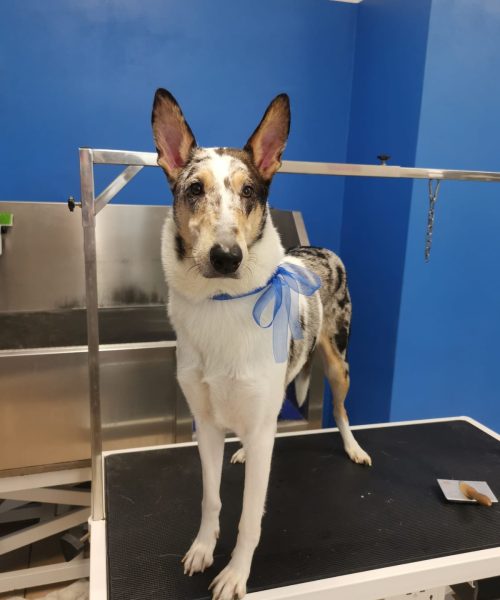 480553018_966891202257963_8490255248460498787_n