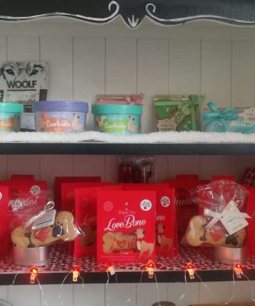 WhatsApp Image 2026-02-11 at 1.21.18 PM (1)