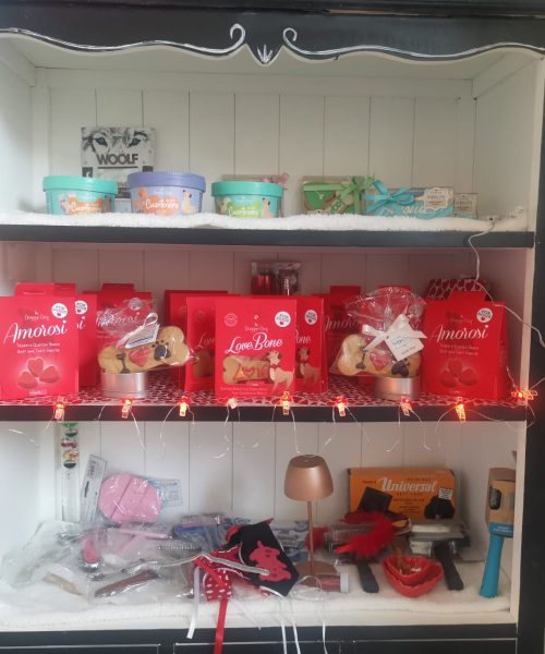 WhatsApp Image 2026-02-11 at 1.21.18 PM