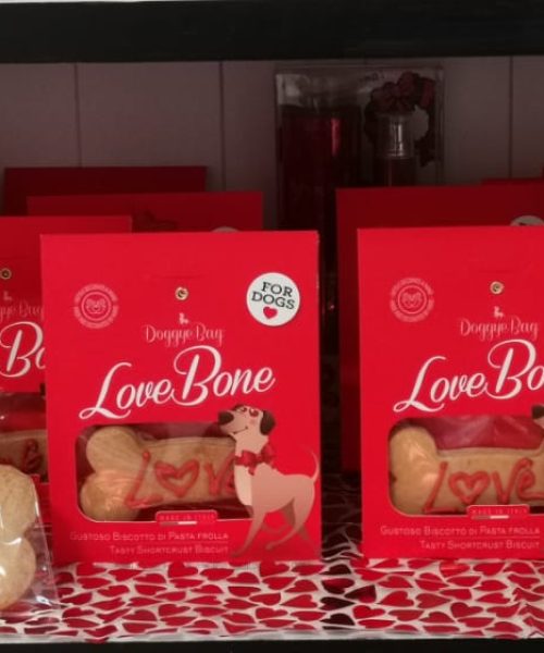 WhatsApp Image 2026-02-11 at 1.21.19 PM (1)