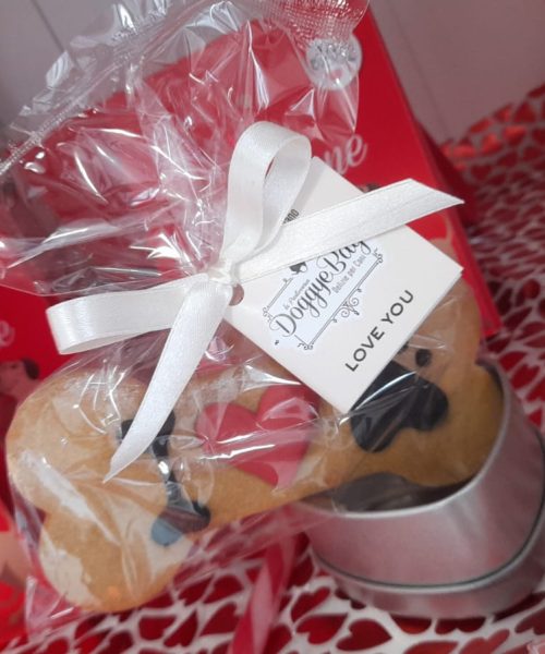 WhatsApp Image 2026-02-11 at 1.21.19 PM (2)