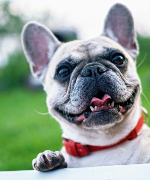 pexels-pixabay-160846